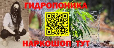 apvp Коммунар