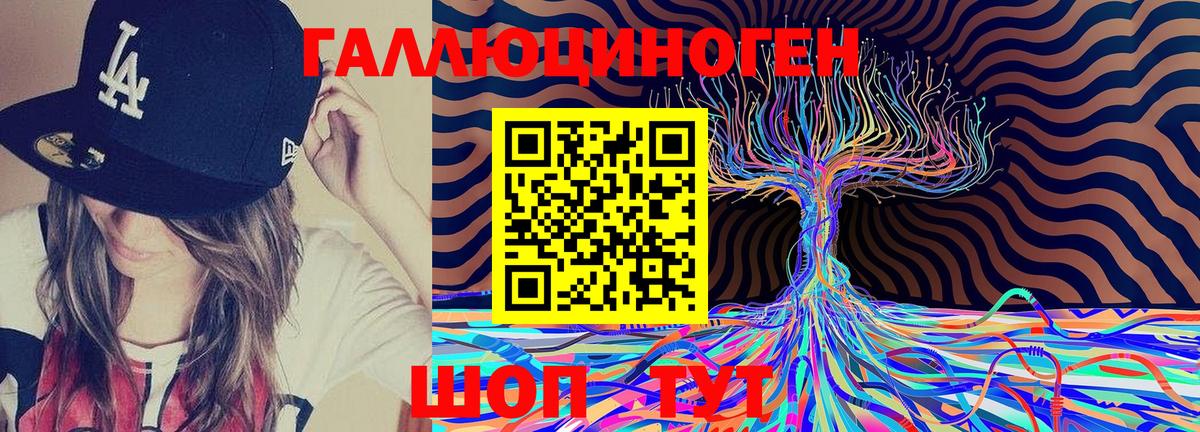 закладки  Вход с VPN  Псилоцибиновые грибы Psilocybe  Ирбит  Псилоцибиновые грибы GOLDEN TEACHER 